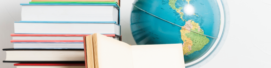 Government Initiative to Globalize Mandarin
