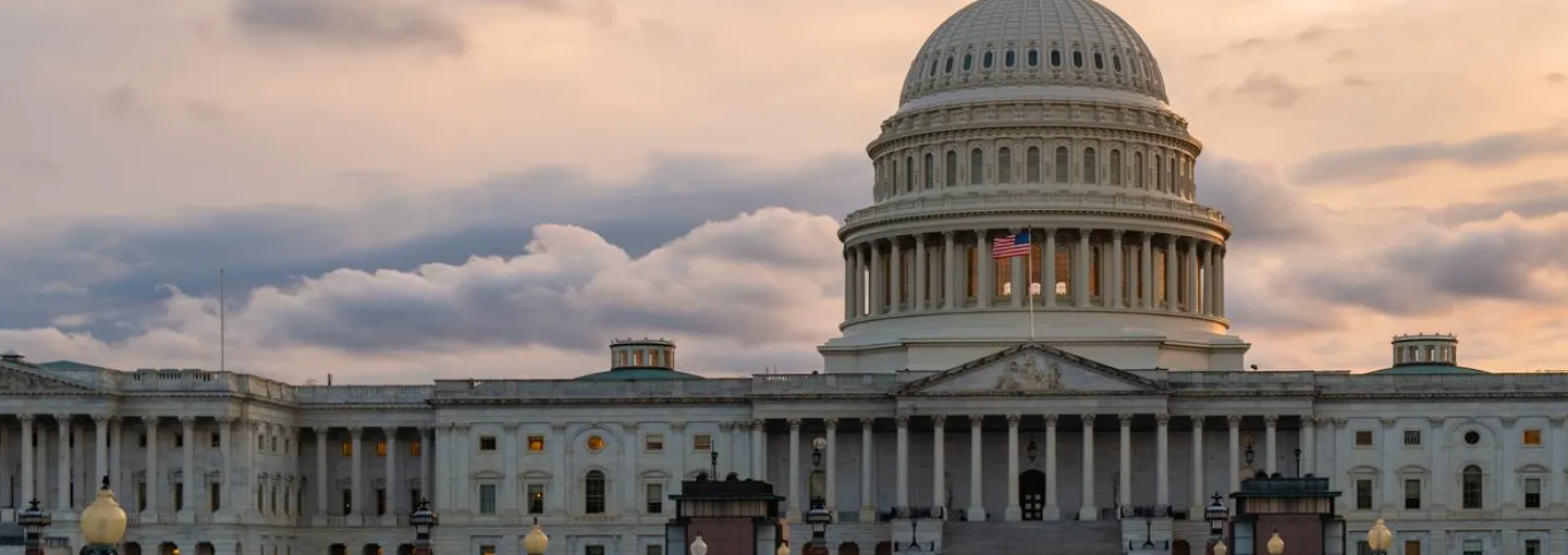 Government and Non-Profit