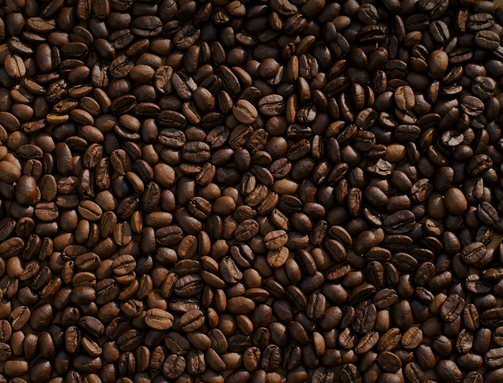 Burns Coffee Roasters